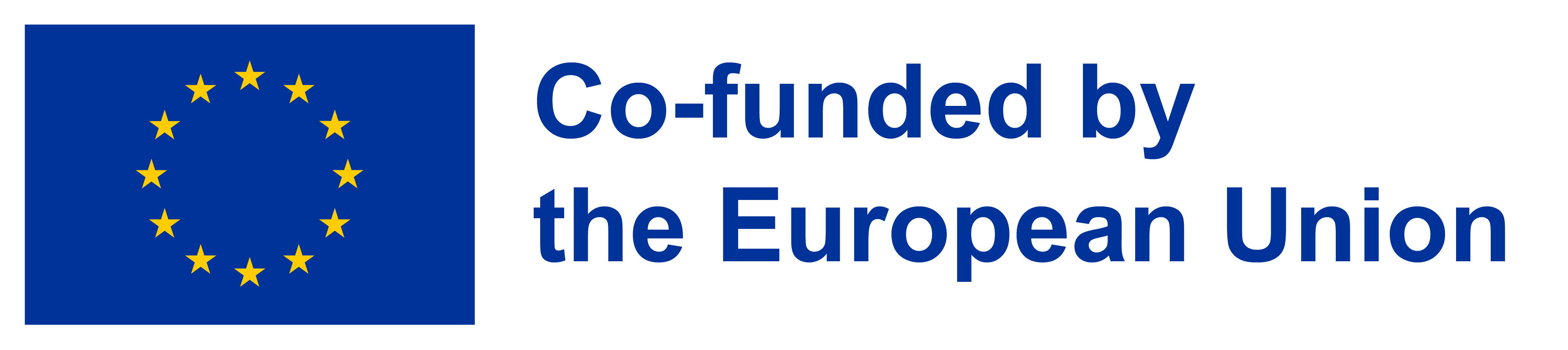 Co-funded by the European Commission